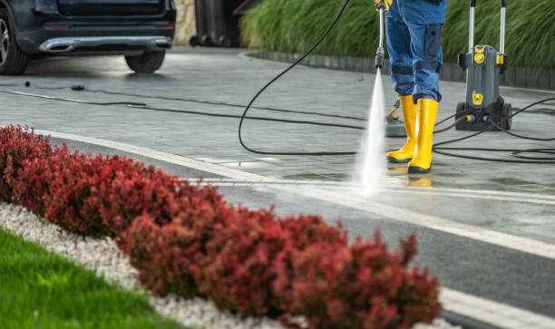 Best Roof Pressure Washing  in Goldendale, WA